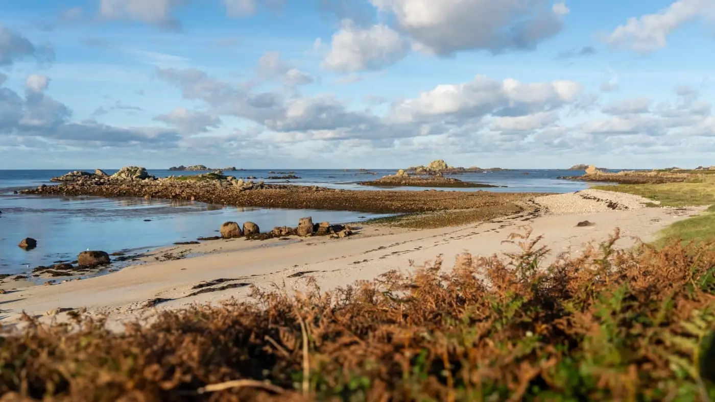 A scenic coastal landscape featuring a sandy beach with scattered rocks and low tide revealing wet sand. The horizon is dotted with rocky formations under a sky filled with fluffy clouds. Brown ferns are visible in the foreground.