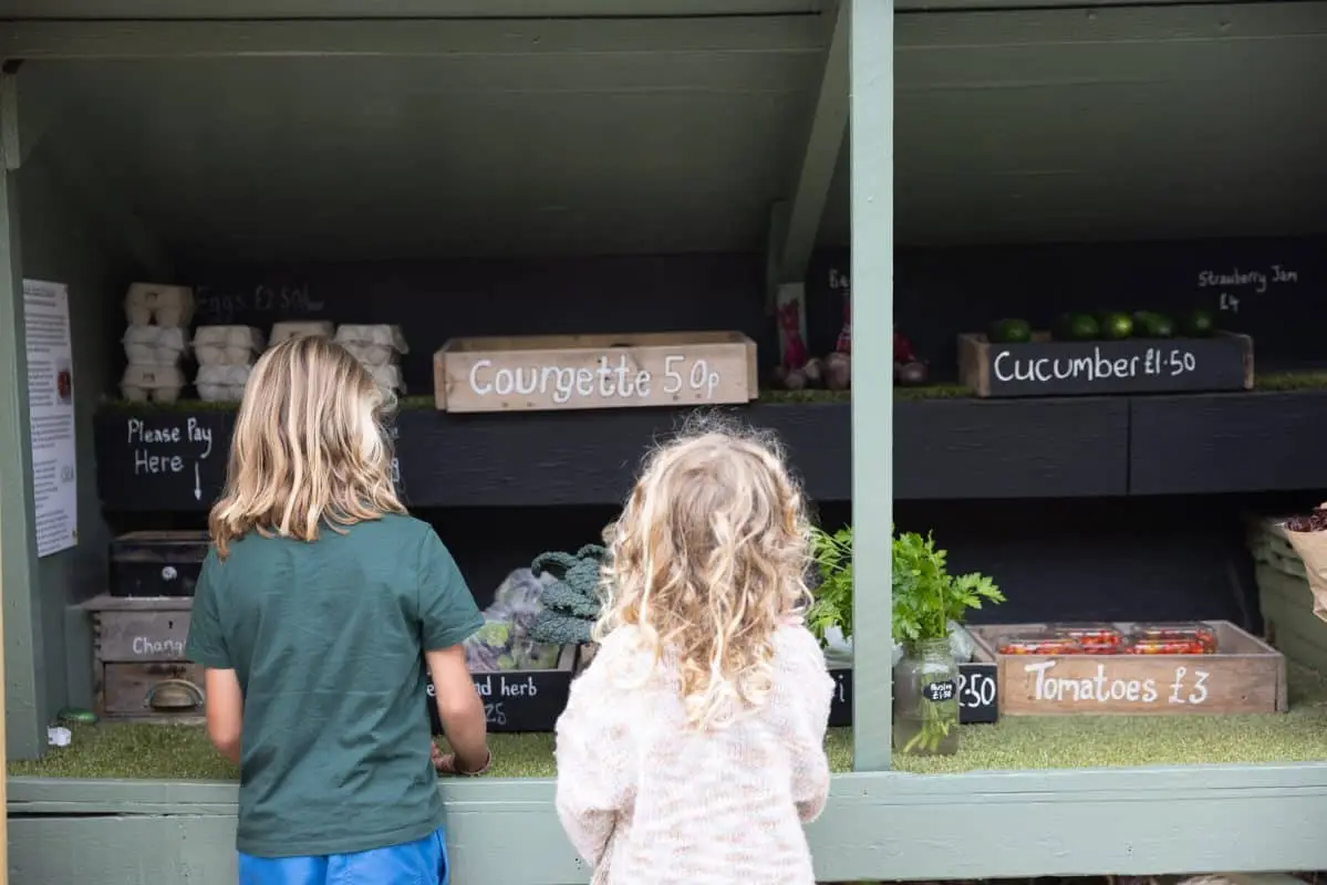 Two children with light hair stand at an outdoor vegetable stall. Boxes labeled with prices contain courgettes, cucumbers, and tomatoes. A sign reads Please Pay Here. Baskets of produce and herbs are displayed on the grass-covered counter.