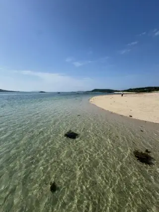 The view from Bar right now ☀️ 
Heatwave with a perfect sea breeze to take edge off 🌞 

#bryher #islesofscilly #hellbayhotel #ukheatwave #cornwall